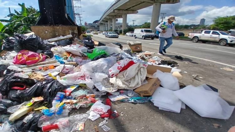 Residentes denuncian acumulación de desechos y riesgos para la salud pública.