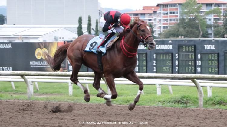 El ejemplar Takao, con la monta de Yonis Lasso, se impuso en el Clásico Independencia 2025.