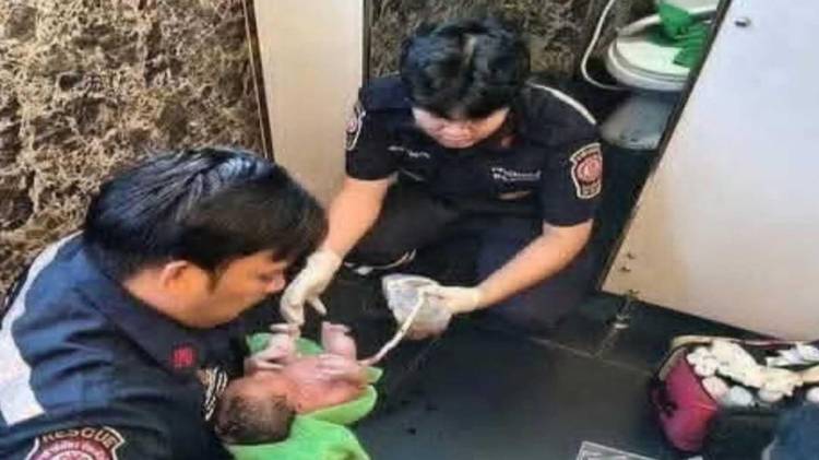 La historia de este pequeño ser que luchó por su vida con valentía ha conmovido a la comunidad.