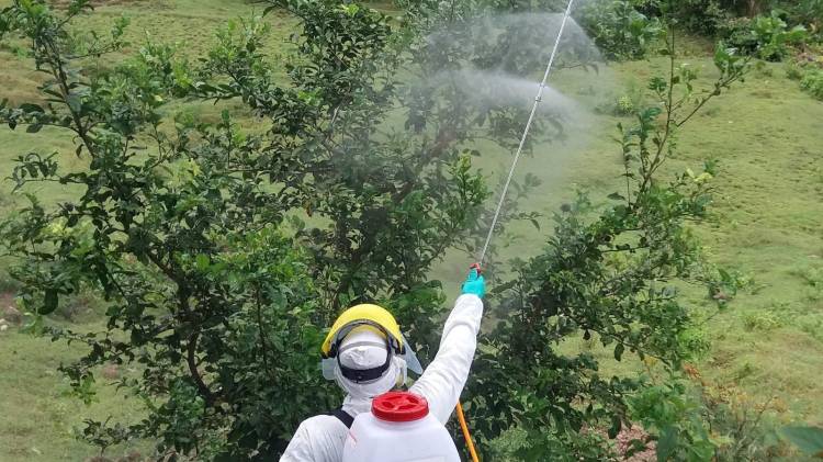 La selección de los plaguicidas prohibidos fue resultado de un análisis técnico coordinado por la Comisión Técnica de Plaguicidas