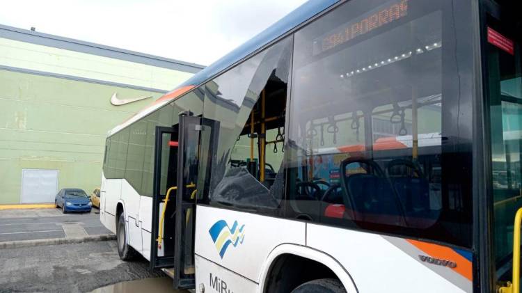 Al 6 de enero de 2025, Mi Bus cuenta con 965 buses brindando el servicio.