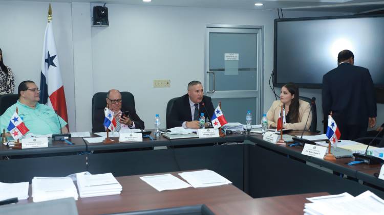 La Comisión de Presupuesto de la Asamblea Nacional .