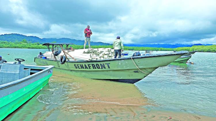 Entrega de suministros a Jaqué, Darién.