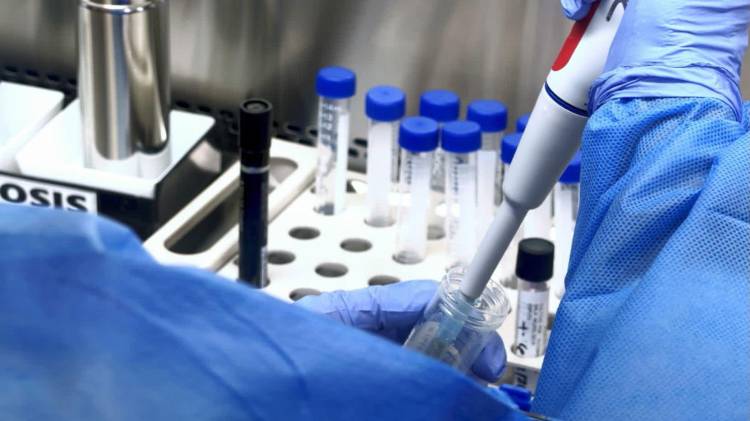 Piden revisar Ley 255 sobre idoneidad de instrumentistas