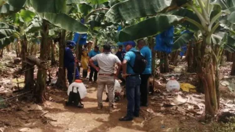 Las jornadas serán coordinadas por el Ministerio de Trabajo y Desarrollo Laboral (Mitradel).