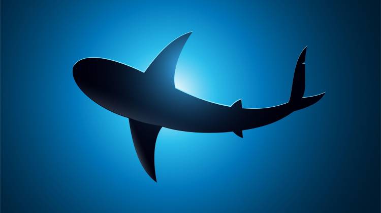 El hombre herido está siendo atendido en centro de salud de Narganá.