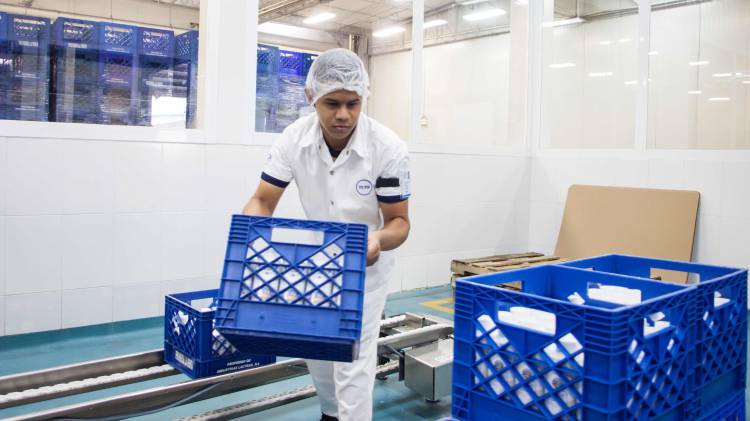 El Ministerio de Trabajo y Desarrollo Laboral (MITRADEL) mantiene disponibles 20 vacantes laborales.