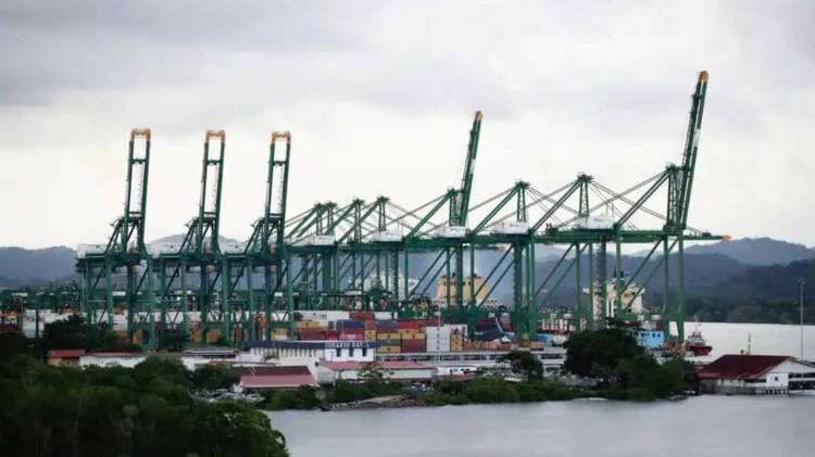 Las obras del Cuarto Puente sobre el Canal avanzan con la instalación de pilotes y la construcción de las fundaciones de sus torres principales.