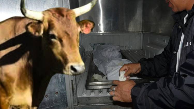 Elmer Quijntero / El Siglo