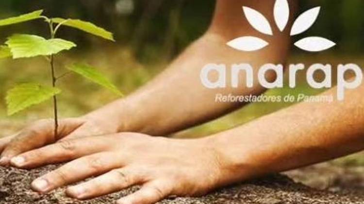Reforestadores de Panamá