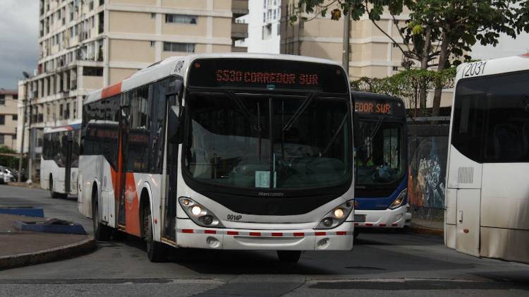 MiBus informó que las féminas interesadas pueden aplicar de forma virtual.