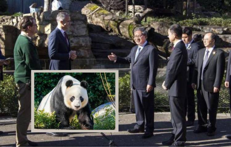 Primera escala de la visita oficial del primer ministro chino, Li Qiang, a Australia este domingo.