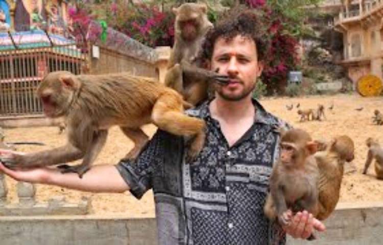 Limpiar monos en los templos: Una profesión singular