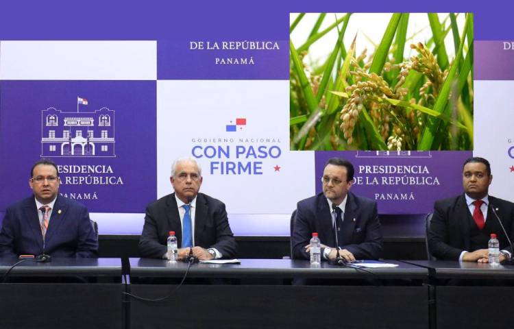 Gobierno anuncia fin del control de precios en el arroz