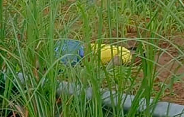 Anel Isaac Robinson fue hallado sin vida la mañana del 3 de julio entre unos herbazalez.