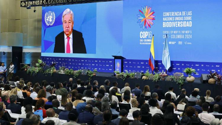 Asistentes a la inauguración de la COP16 observan el video del secretario general de Naciones Unidas, António Guterres, durante la ceremonia de inauguración de la COP16 de Biodiversidad este domingo en Cali (Colombia). EFE/ Mauricio Dueñas Castañeda