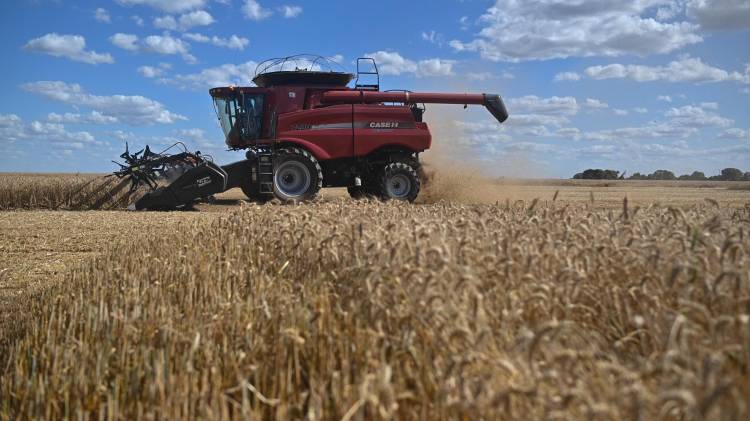 Fotografía de archivo del 19 de agosto de 2023 de una cosecha de trigo en la zona rural de Brasilia (Brasil).