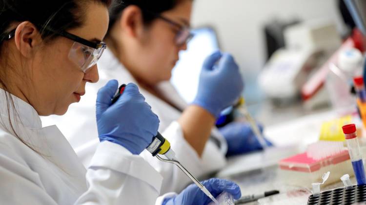 Científicas brasileñas trabajando en el laboratorio de Inmunología
