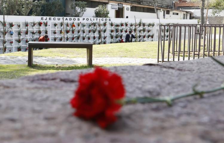 Fotografía de archivo de una flor frente al Memorial de Detenidos Desaparecidos y Ejecutados Políticos, en el Cementerio General de Santiago de Chile. EFE/ Elvis González