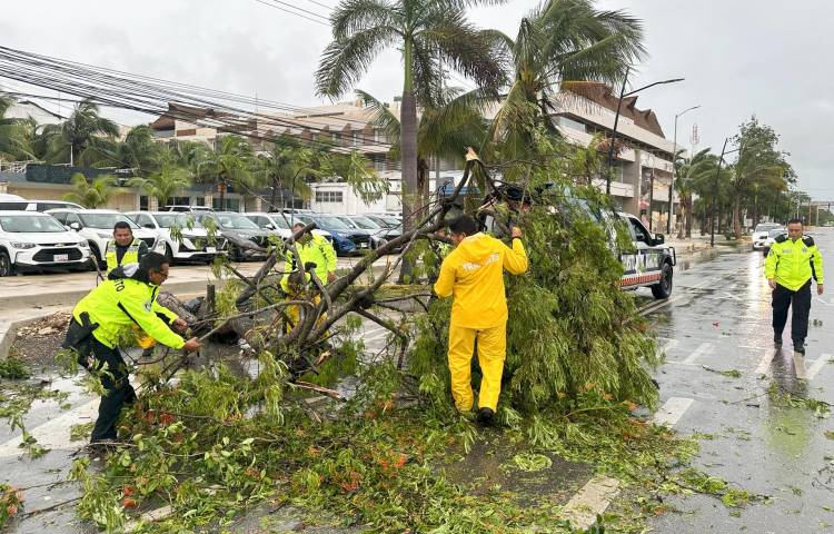 Policías y miembros de Protección Civil levantan arboles caídos tras el paso del huracán Berly en el municipio de Tulum, en Quintana Roo (México). EFE/ Alonso Cupul