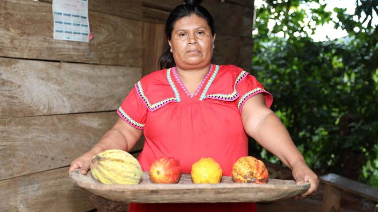 El cacao que cambió la vida de Aleida: una historia de esfuerzo y sabor