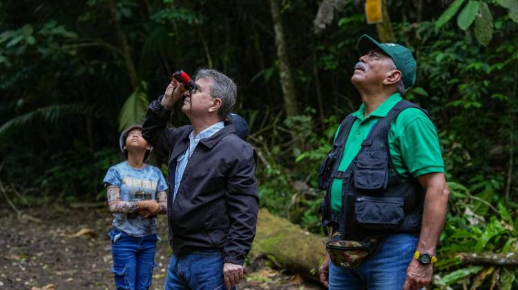 El October Big Day es una competencia internacional, y se espera que los resultados oficiales se publiquen en las próximas 24 a 48 horas.