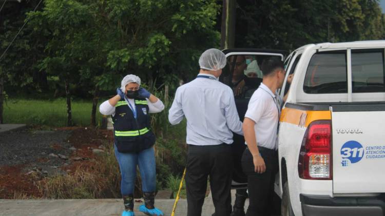 Las fiscalías regionales realizaron los levantamientos y diligencias en cada uno de los casos reportados.