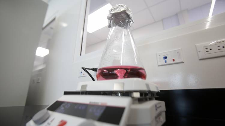 La idea es fortalecer la investigación y producción de vacunas.