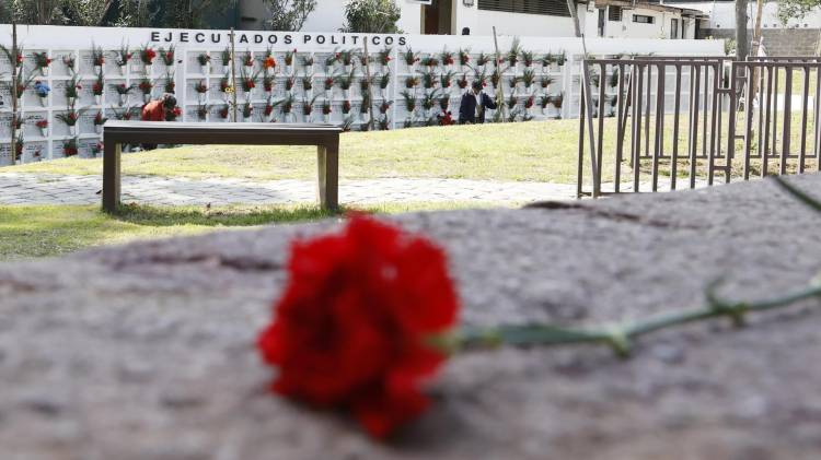 Fotografía de archivo de una flor frente al Memorial de Detenidos Desaparecidos y Ejecutados Políticos, en el Cementerio General de Santiago de Chile. EFE/ Elvis González