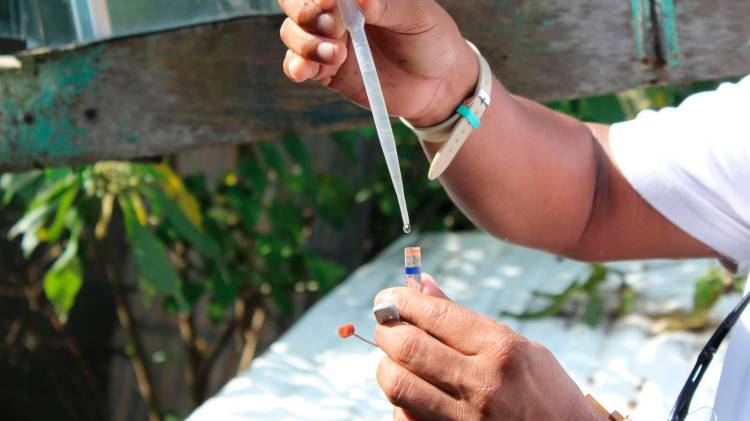 El Minsa pidió a toda la población ponerse las pilas y eliminar todos los criaderos de mosquitos.