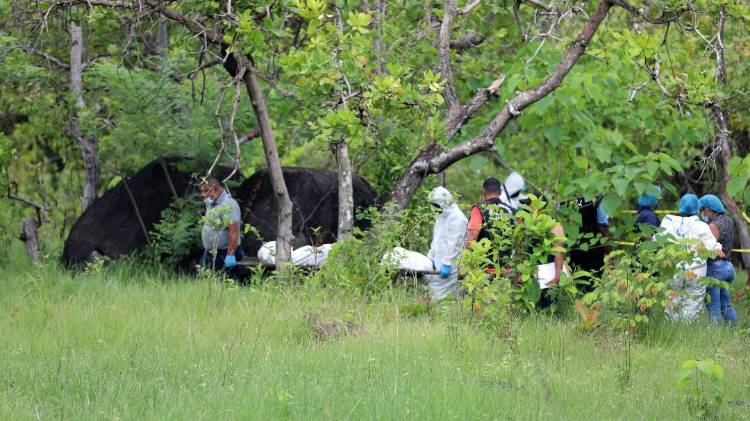 En lo que va del mes de julio, se han reportado siete homicidios a nivel nacional.