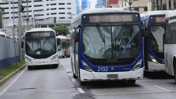 Este año se ha reportado 359 casos de vandalismo en metrobuses.
