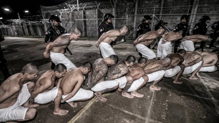 Fotografía cedida por el gobierno de El Salvador donde se observa el traslado de pandilleros al Centro de Confinamiento para el Terrorismo (Cecot), este martes en Tecoluca (El Salvador). EFE/ Gobierno de El Salvador