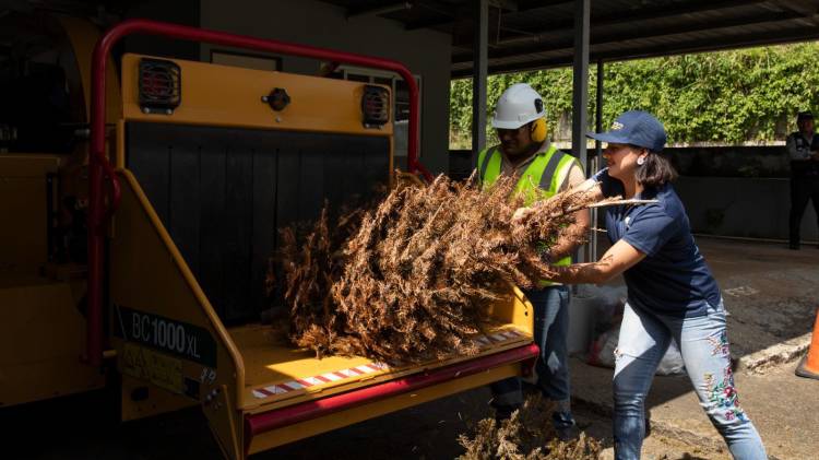 ETESA convierte arbolitos en acción verde por el planeta