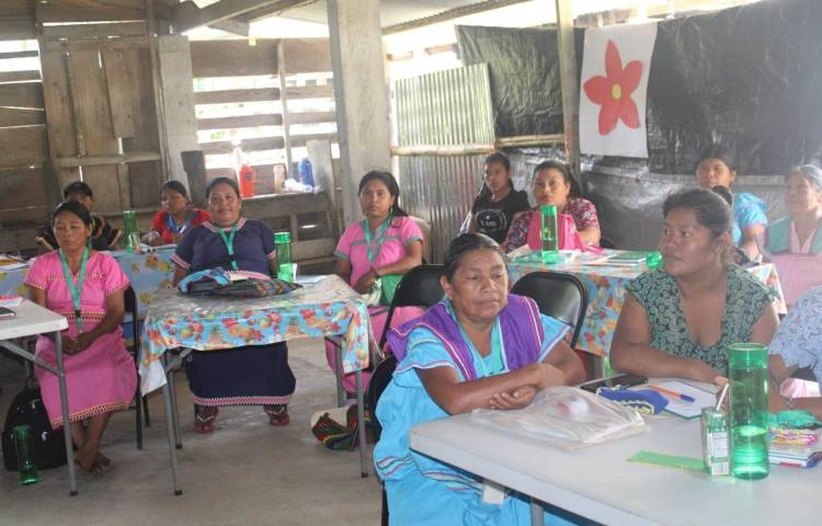 Los pueblos indígenas apuestan a la capacitación de las mujeres parteras para una mayor cobertura.