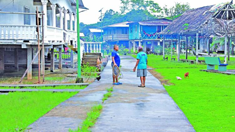 Los paneles solares se han convertido en un elemento constante del paisaje.