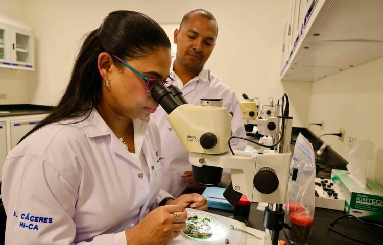 Panamá invierte en investigación entre 0.18% y 0.20% del PIB.