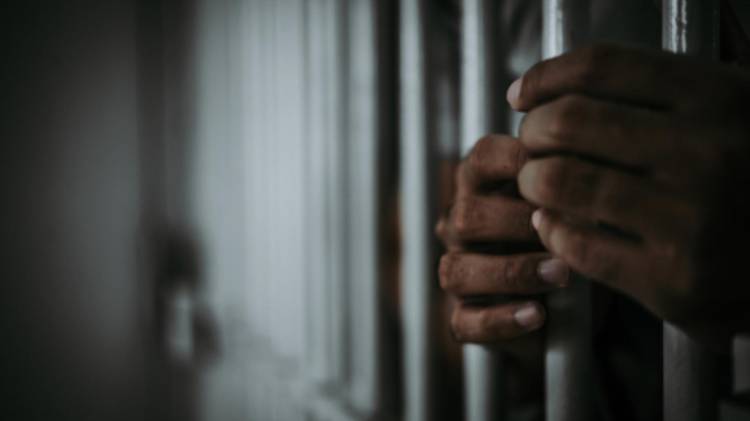 Ambos casos ocurrieron a inicios de noviembre.