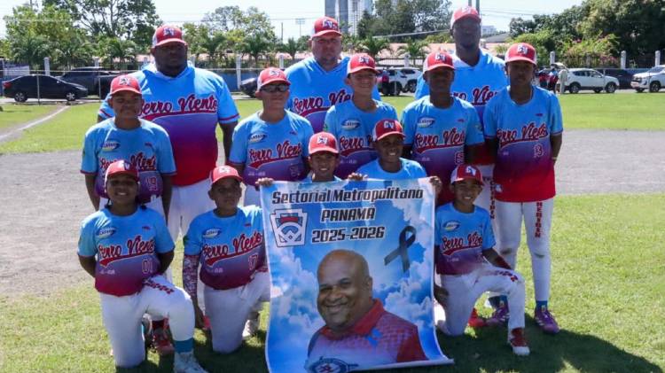 Pequeñas Ligas: Metro ya tiene su representante para el Nacional Infantil