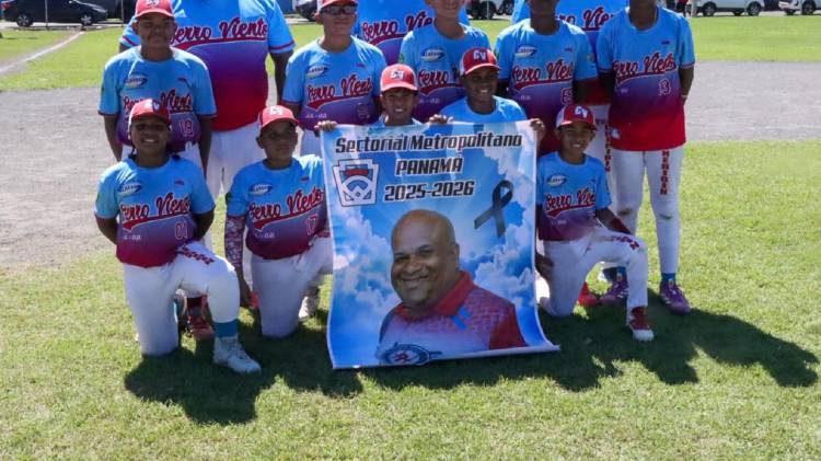 Pequeñas Ligas: Metro ya tiene su representante para el Nacional Infantil