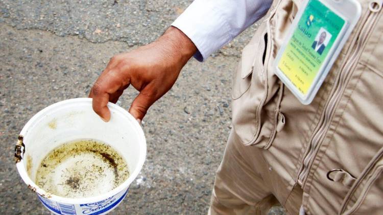 El Minsa pide eliminar criaderos del mosquito Aedes aegypti en casas y alrededores, para frenar el avance del dengue en Panamá.
