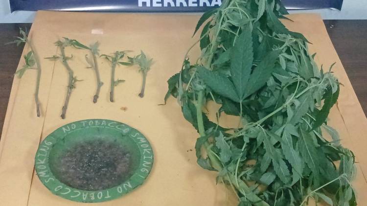 El allanamiento se dio en una residencia ubicada en el sector de Llano Bonito