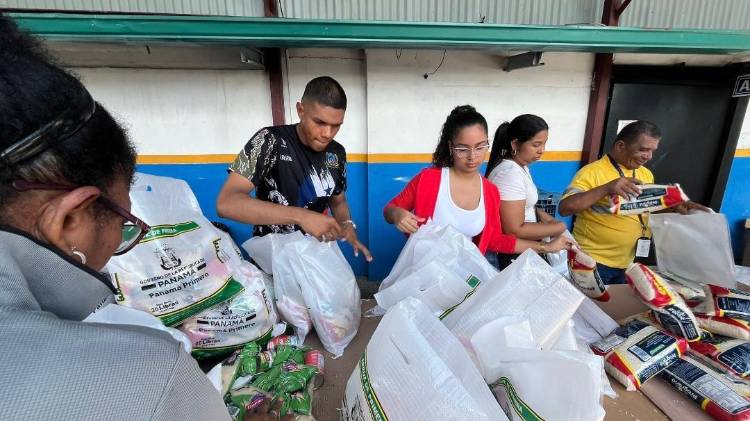 Personal del IMA avanza en la preparación de miles de bolsas navideñas que serán distribuidas en todo el país.