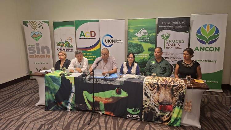 Ambientalistas denuncian uso de la justicia como herramienta de persecución en Panamá