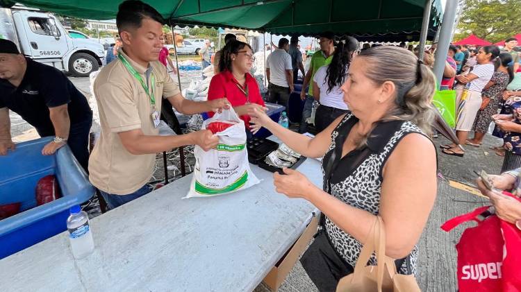 IMA cambia fechas de naviferias en Panamá