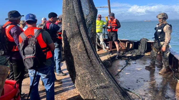 Panamá busca ratificar certificación de exportación de camarón hacia Estados Unidos
