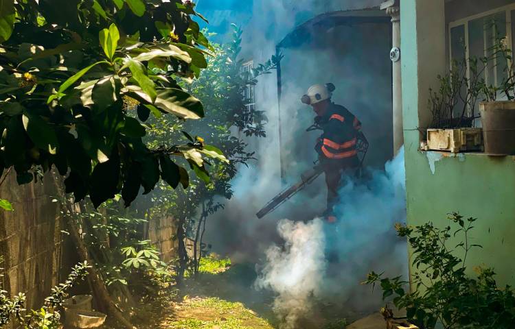 El Minsa hace un llamado a la población a eliminar los criaderos de mosquitos.