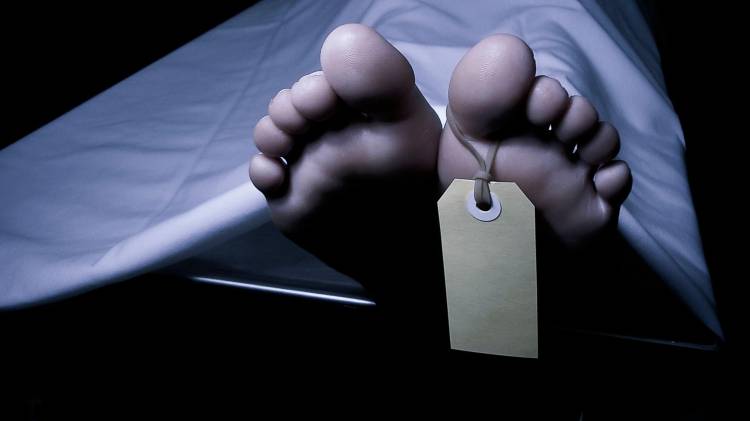 Personal realizó los levantamientos y trámites correspondientes en ambos casos.