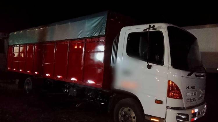 Autoridades retuvieron el vehículo tras detectar irregularidades en la guía de carga y la factura presentada.