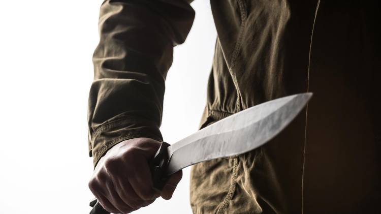 Amenazas con machete derivan en detención provisional.